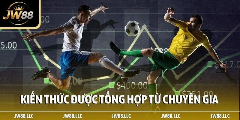 Kiến thức được tổng hợp từ đội ngũ chuyên gia, cao thủ