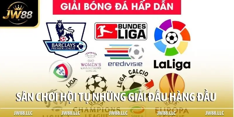 Sân chơi hội tụ những giải đấu hàng đầu